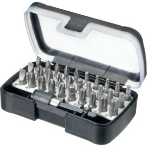 Bitssæt med 31 bits og holder